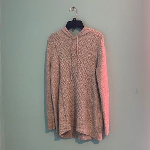 American Eagle Hooded Sweater